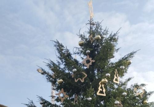 Vánoční katedrála