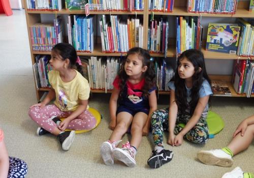 Pasování na čtenáře